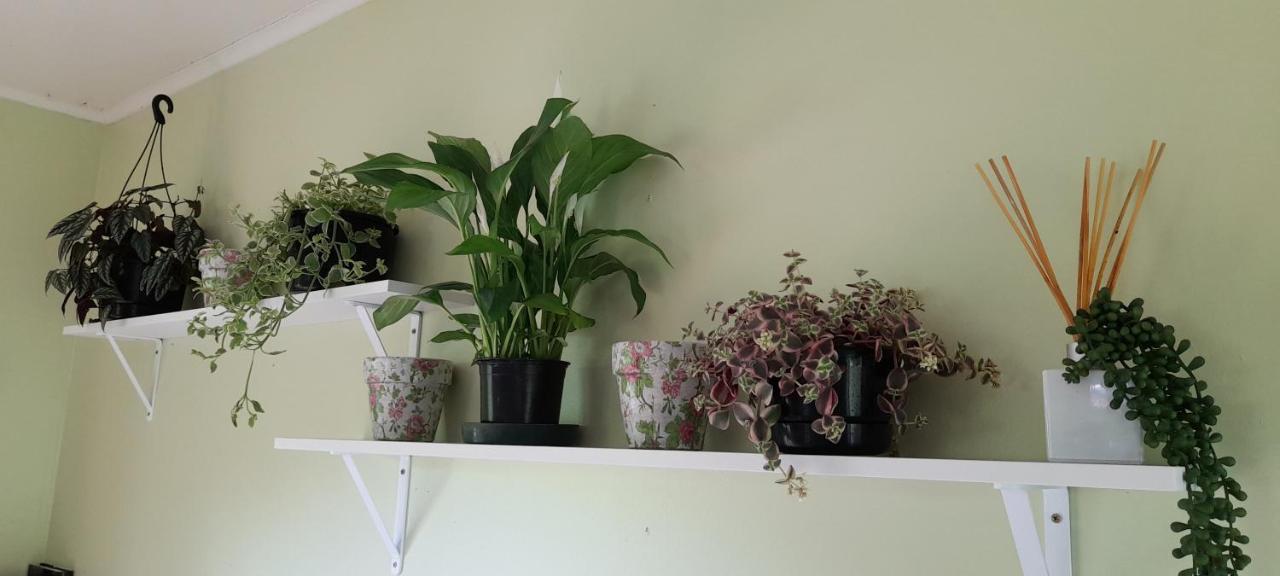 טאומרנוי Earthsounds Country Cottage מראה חיצוני תמונה